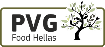 PVG company logo